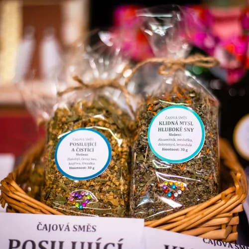Obrázek události Festival zdraví Kroměříž