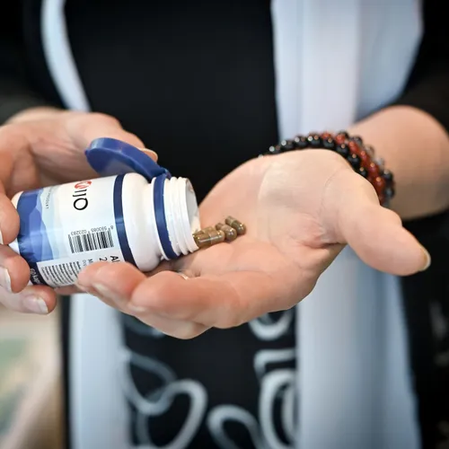 Event image FESTIVAL ZDRAVÍ - KROMĚŘÍŽ