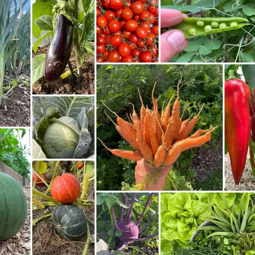 Event image Založ si vlastní zeleninovou zahradu