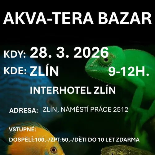 Event image Akva Tera Bazar Zlín