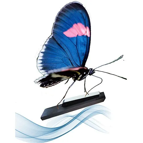 Event image DUSÍK A CANDEILLE NA LOIŘE