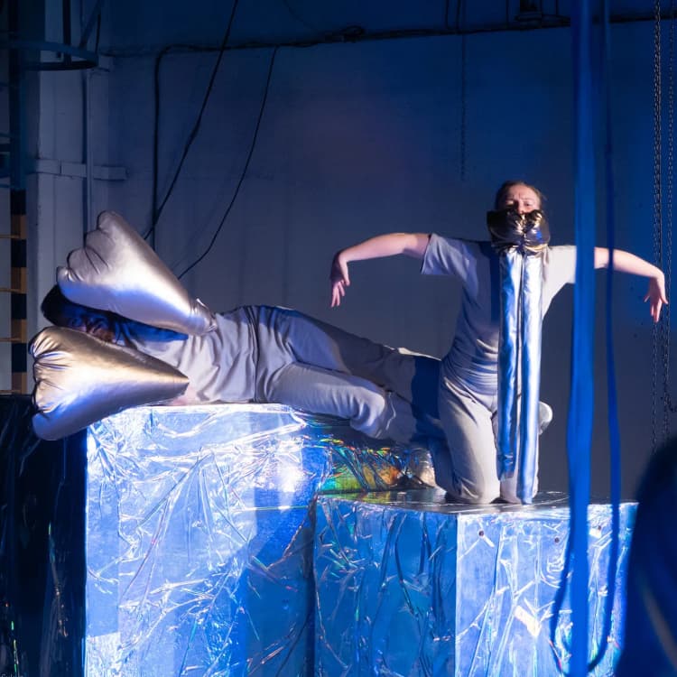 Event image Kniha džunglí - Bílý lachtan